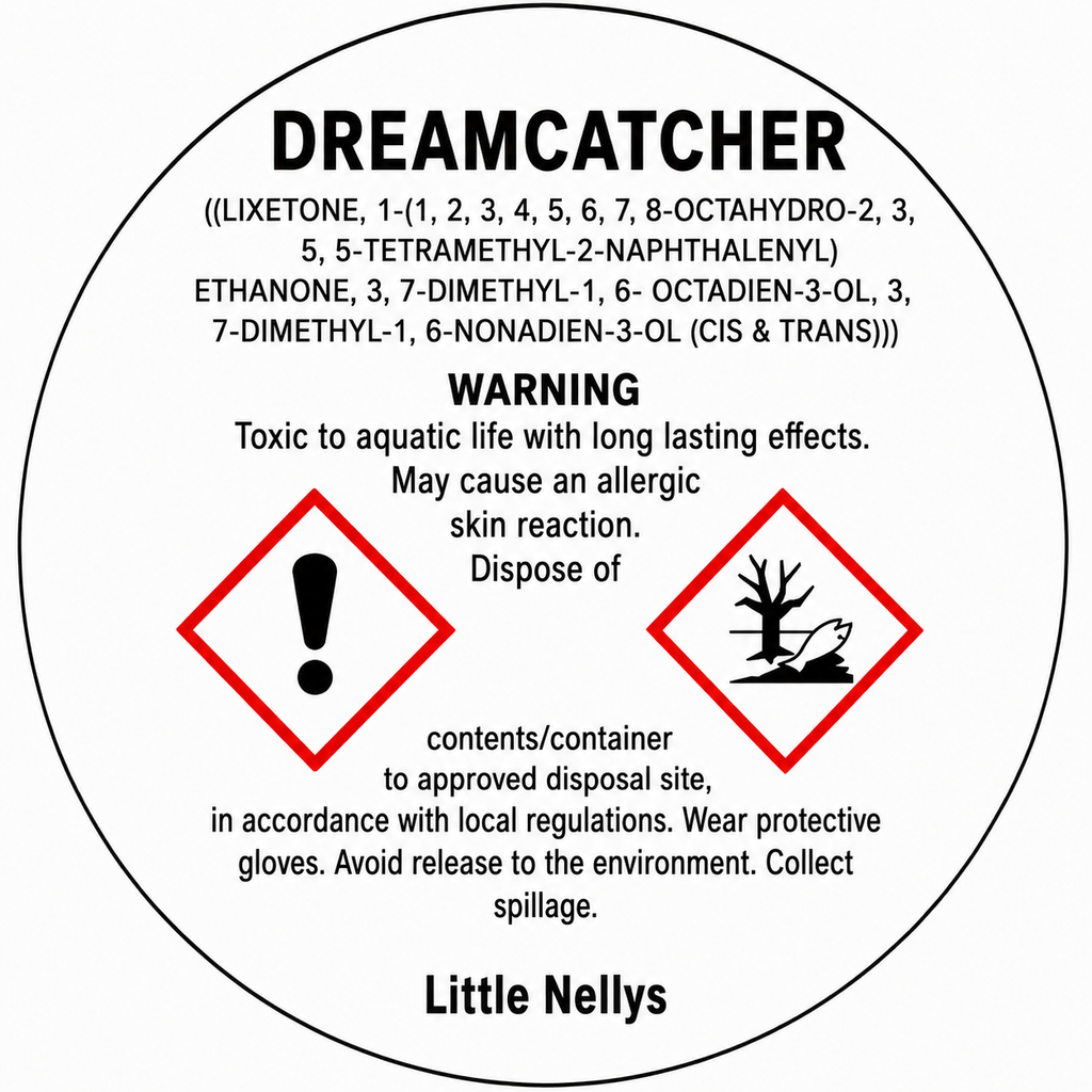 Dream Catcher