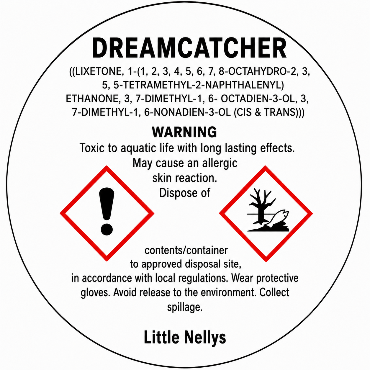Dream Catcher